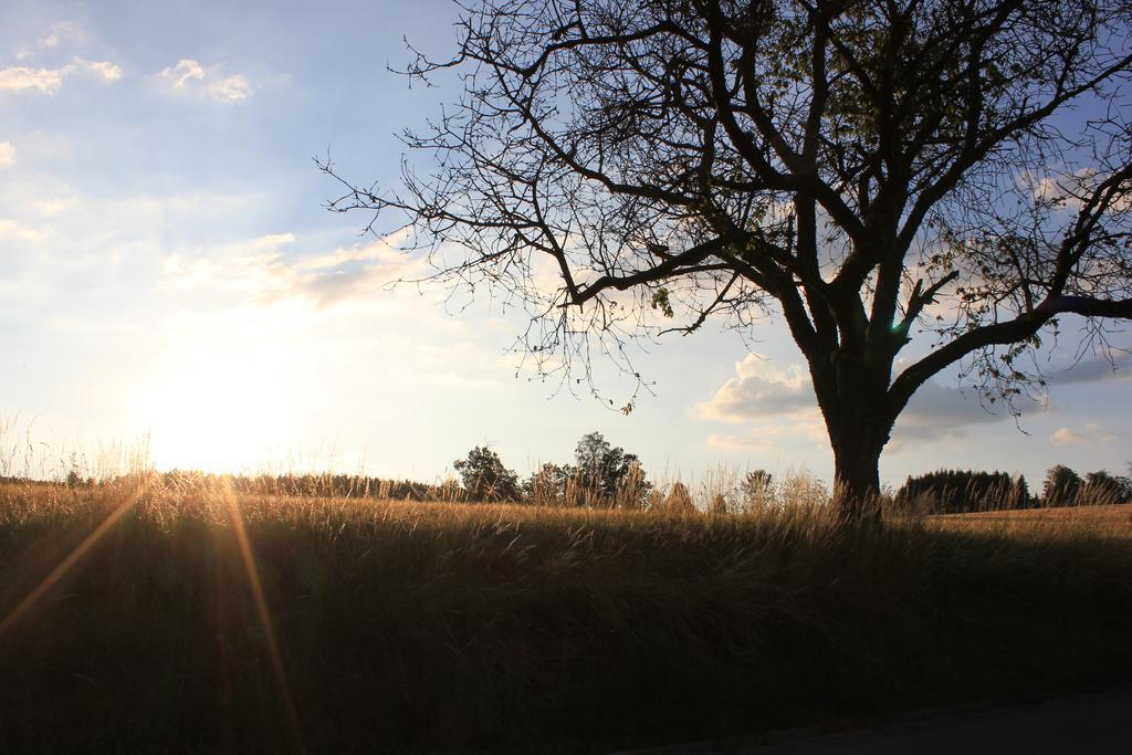 Landgasthof Haueis Marktleugast ภายนอก รูปภาพ