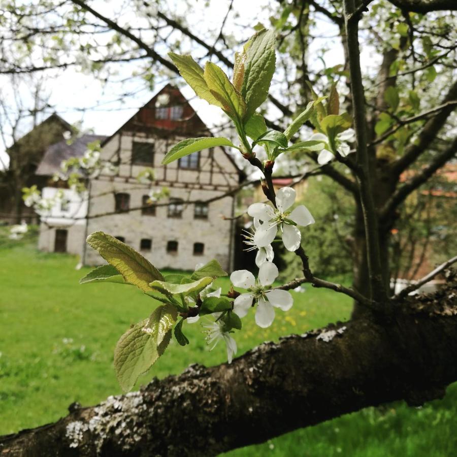 Landgasthof Haueis Marktleugast ภายนอก รูปภาพ